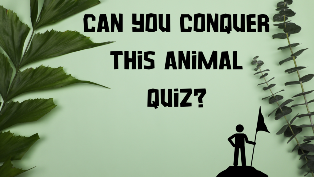 Can You Conquer This Animal Quiz