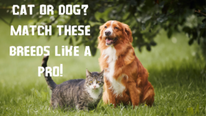 Cat or Dog Match These Breeds Like a Pro